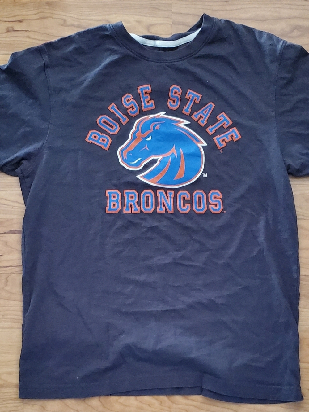 Men's Large Unisex Tee Boise State Broncos Grey 100% Cotton